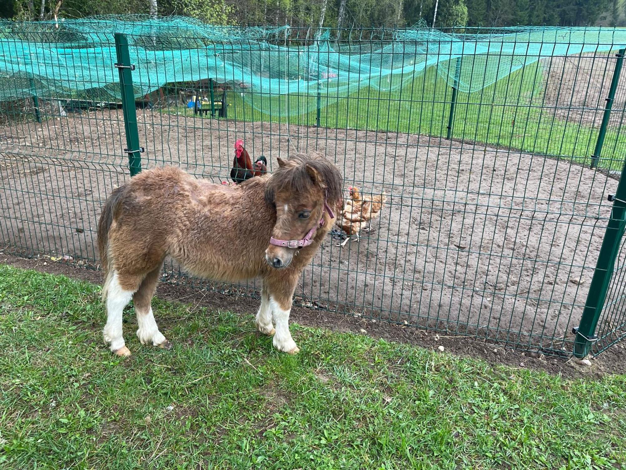 Вилла Maee Farm Рыуге Экстерьер фото
