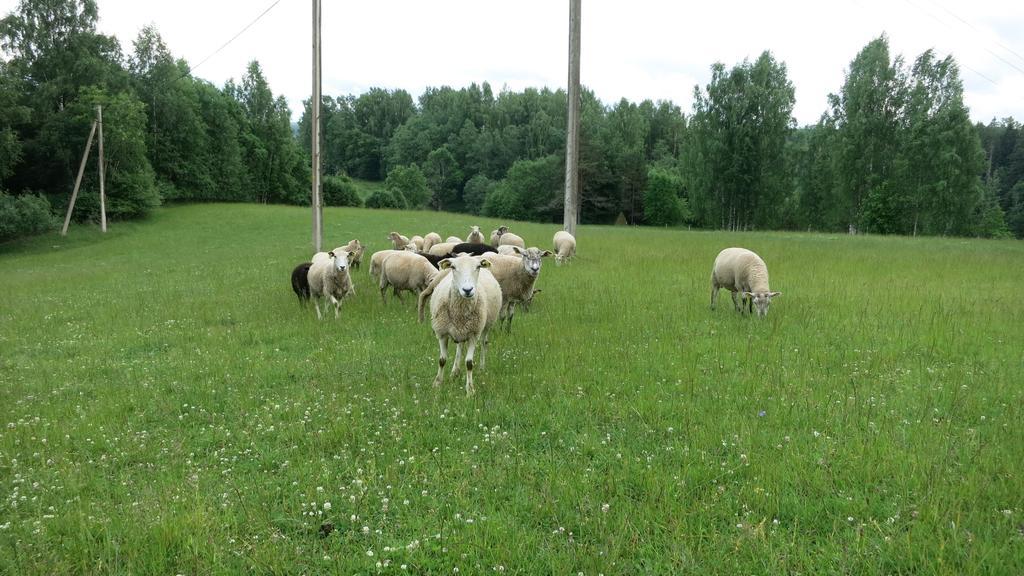 Вилла Maee Farm Рыуге Экстерьер фото